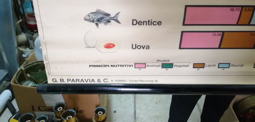 Χριστιανοί εργένηδες dating Σίδνεϊ