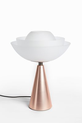 Lotus Table Lamp by Serena Confalonieri Lotus Table Lamp in Pink by Mason