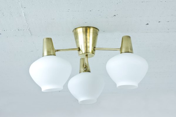Swedish 3 Armed Ceiling Lamp In Brass Glass From Asea 1950s For