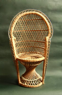 Vintage Peacock Chair Plant Holder 1970s For Sale At Pamono