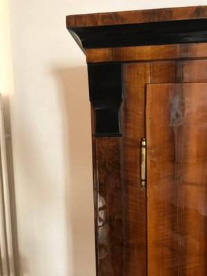 Biedermeier German Walnut Birch Wardrobe 1820s For Sale At Pamono