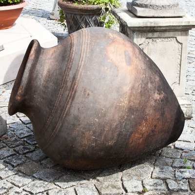 Anfora In Terracotta Inizio Xx Secolo In Vendita Su Pamono