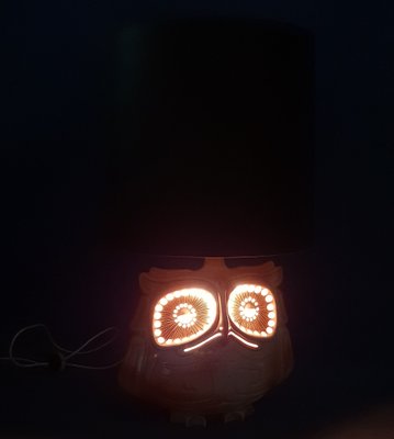 Ceramic Owl Lamp, 1950s for sale at Pamono