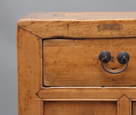 19th Century Chinese Rustic Dresser For Sale At Pamono