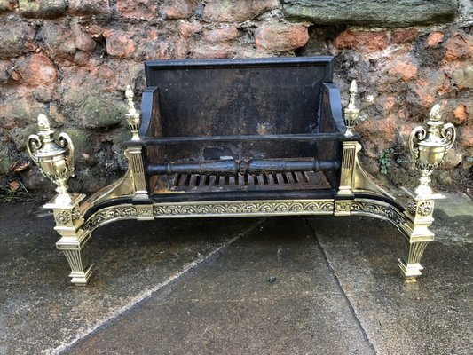 Edwardian Steel Brass Cast Iron Fire Grate 1900s For Sale At
