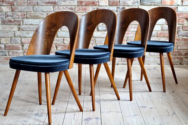 Blue Velvet Dining Chairs By Antonin Suman For Tatra 1960s Set Of 4 For Sale At Pamono