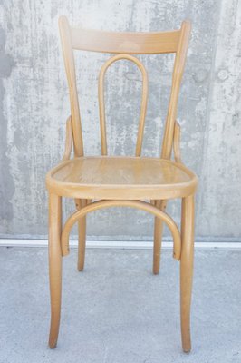 Bentwood Bistro Chairs 1950s Set Of 6 For Sale At Pamono