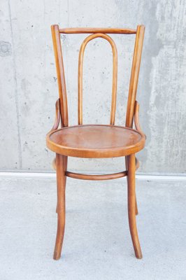 French Bentwood Bistro Chairs 1950s Set Of 3 For Sale At Pamono