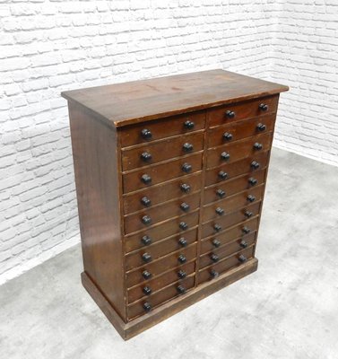 Antique Multi Drawer Collector S Chest For Sale At Pamono
