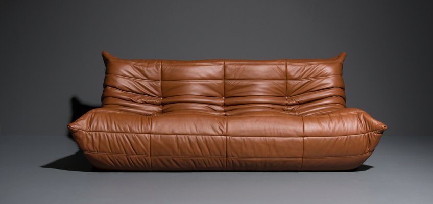 Vintage French Leather Sofa By Michel Ducaroy For Ligne Roset 1970s