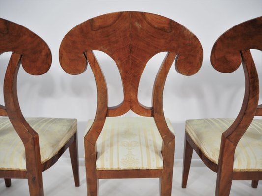 Antique Biedermeier Dining Chairs Set Of 6 For At Pamono Antique Biedermeier Dining Chairs Set