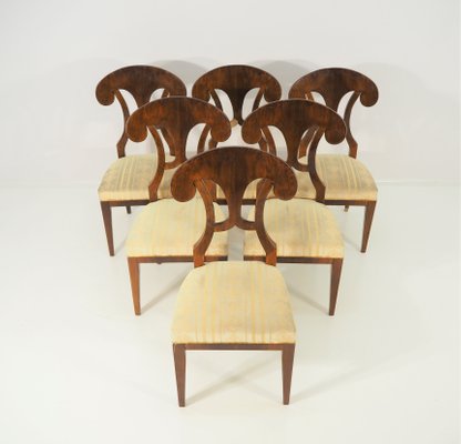 Antique Biedermeier Dining Chairs Set Of 6 For At Pamono Antique Biedermeier Dining Chairs Set