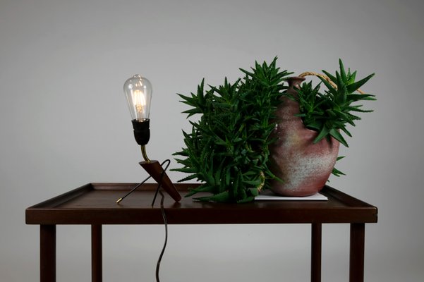 grasshopper table lamp