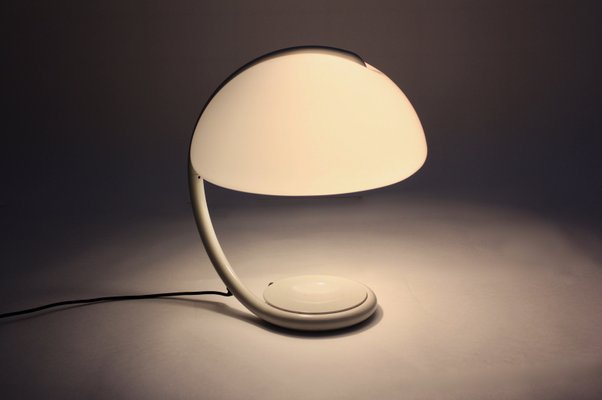 Lamp snake 2024