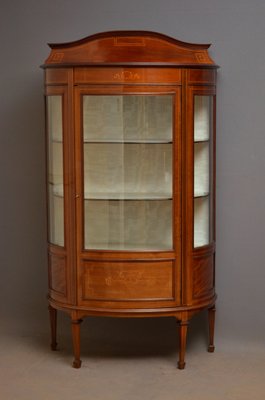Antique Edwardian Mahogany Display Cabinet For Sale At Pamono