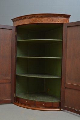 Antique George III Corner Cupboard for sale at Pamono