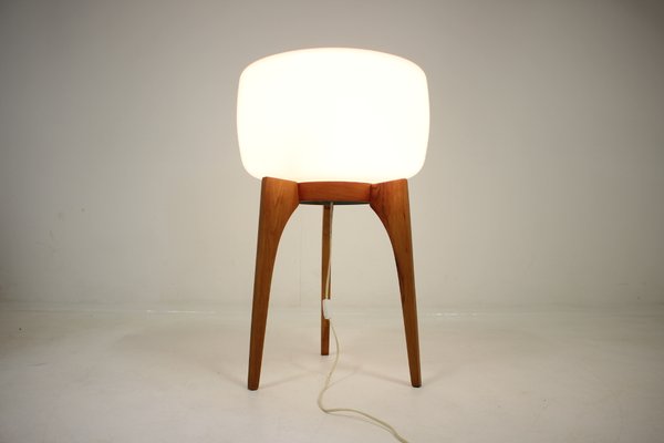 Mid Century Lamp From Úluv 1960s For, Vintage Mid Century Lamp Shades