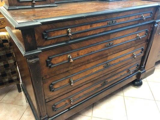 Antique 19th Century Burl And Walnut Dresser With Mirror For Sale