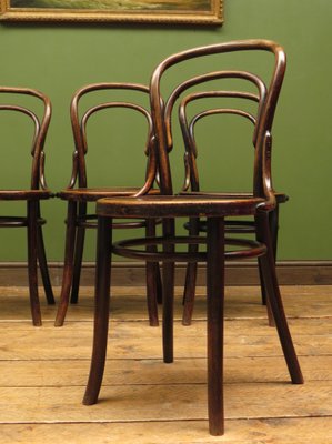 Antique Bentwood Bistro Chairs From Apm Set Of 4 For Sale At Pamono
