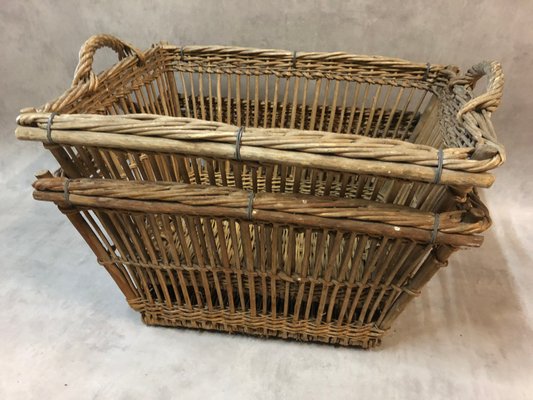 braune apothekergläser Apothekerglas mit Schliffstopfen Braunglas