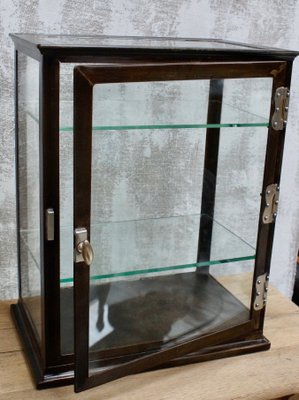 Antique Victorian Medical Cabinet From Arnold Sons London For Sale At Pamono