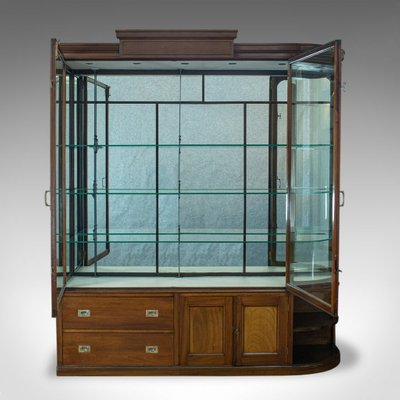 Antique Victorian Mahogany Display Cabinet For Sale At Pamono