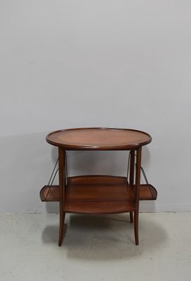 Vintage Oval Rosewood Coffee Table 1920s for sale at Pamono