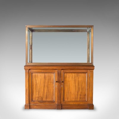 Antique Walnut Bronze Cabinet 1900s For Sale At Pamono