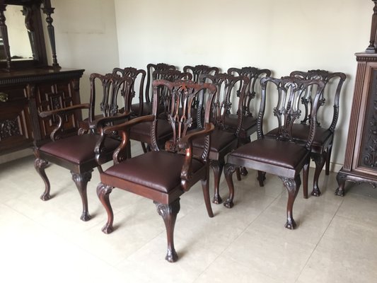 Antique Chippendale Ball And Claw Mahogany Dining Chairs Set Of Claw Mahogany Dining Chairs Set