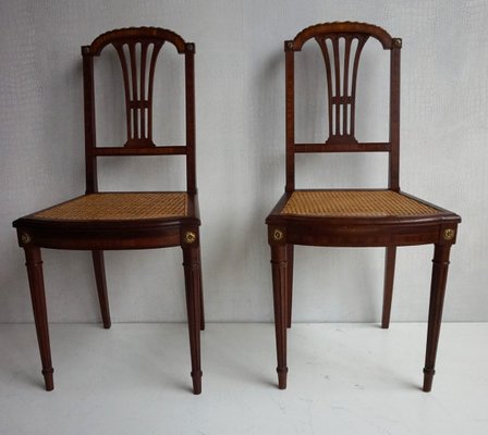 Antique French Louis Xvi Mahogany And, Antique French Louis Xvi Chairs