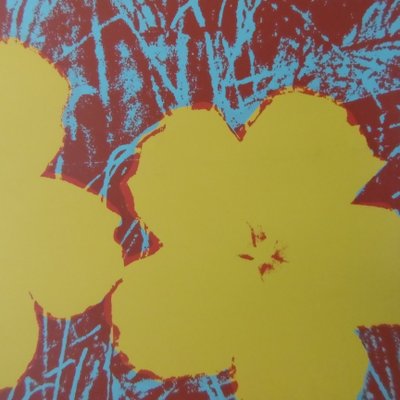 Poppy Flowers Screenprint Reprint By Andy Warhol For Sale At Pamono