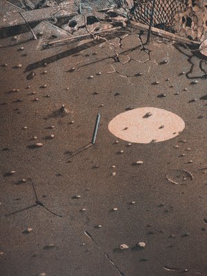Le Cercle Rouge Engraving By Hiroshi Asada For At Pamono Le Cercle Rouge Engraving By Hiroshi