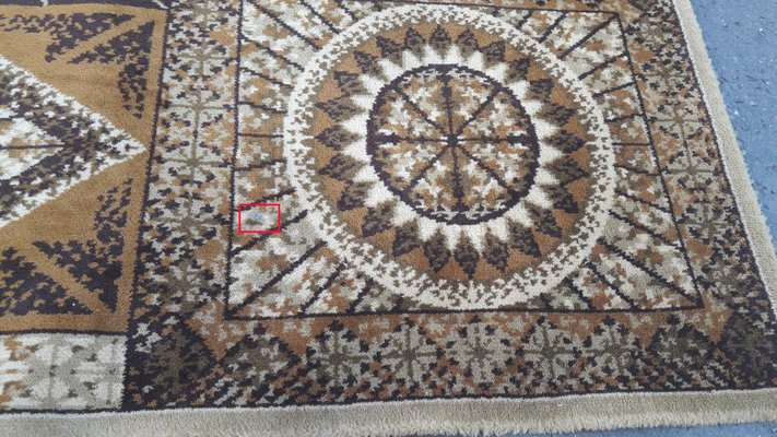 Deutscher Mid Century Teppich Von Nordpfeil Bei Pamono Kaufen