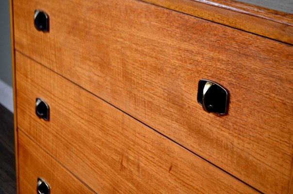 Walnut And Beech Chest Of Drawers 1960s For Sale At Pamono