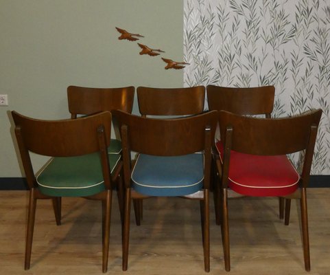 Sedie Da Pranzo Mid Century Anni 50 Set Di 6 In Vendita Su Pamono