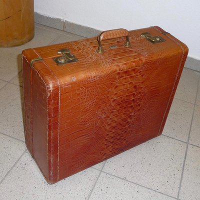Leather Luggage from Dionite 1950s for sale at Pamono
