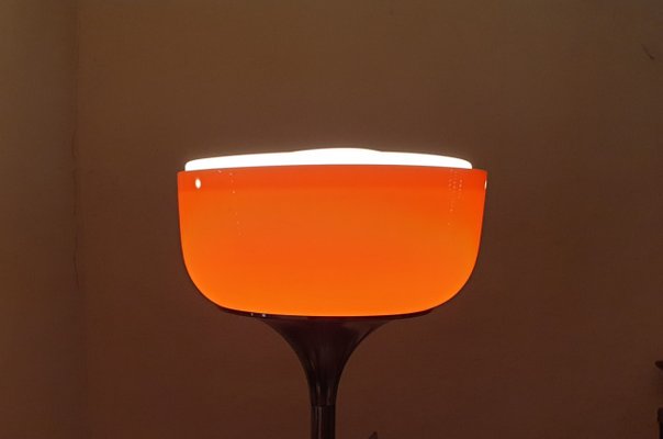 Medusa Floor Lamp By Luigi Massoni For Guzzini 1970s For Sale At