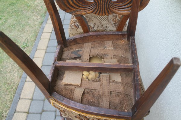 Antique Biedermeier Dining Chair For At Pamono Antique Biedermeier Dining Chair For