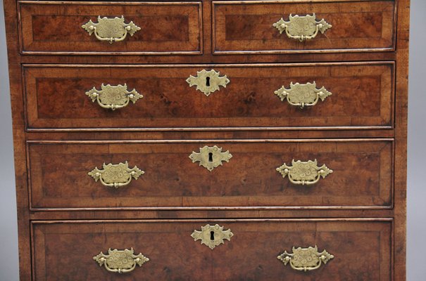 Walnut Chest Of Drawers 1920s For Sale At Pamono