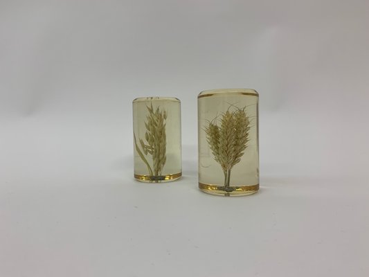 Lucite Pressed Wheat Decorative Items 1970s Set Of 2 For Sale