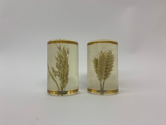 Lucite Pressed Wheat Decorative Items 1970s Set Of 2 For Sale
