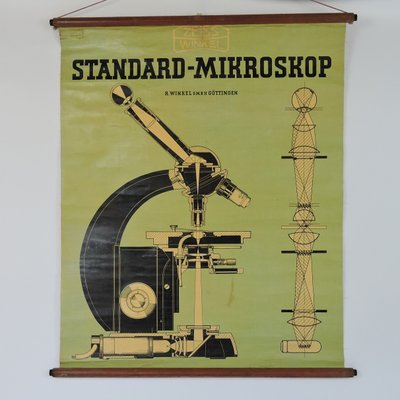 regeling Narabar pit Vintage Standar Microscope Wall Chart from Zeiss Winkel, 1940s for sale at  Pamono