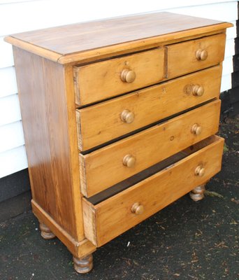 Antique Pine Chest Of Drawers 1900s For Sale At Pamono