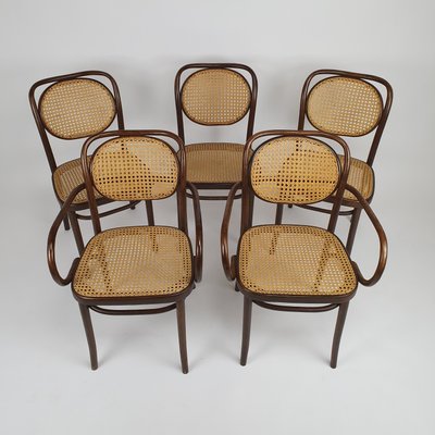 Bentwood & Cane Dining Chairs from ZPM Radomsko, 1960s, Set of 6 Bentwood & Cane Dining Chairs from ZPM Radomsko, 1960s, Set of 6