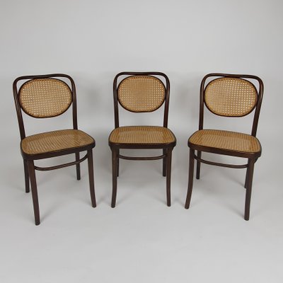 Bentwood & Cane Dining Chairs from ZPM Radomsko, 1960s, Set of 6 Bentwood & Cane Dining Chairs from ZPM Radomsko, 1960s, Set of 6