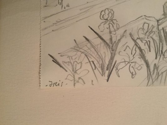 French Iris Pencil Drawing by Gérard Diaz, 1998 for sale at Pamono