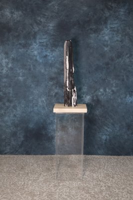 Black Petrified Wood Sculpture for sale at Pamono