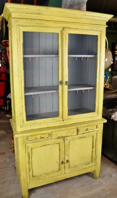 Painted Cupboard 1950s for sale at Pamono