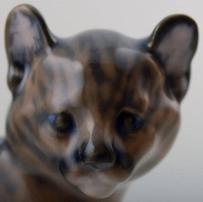 Puma cat 2024 for sale