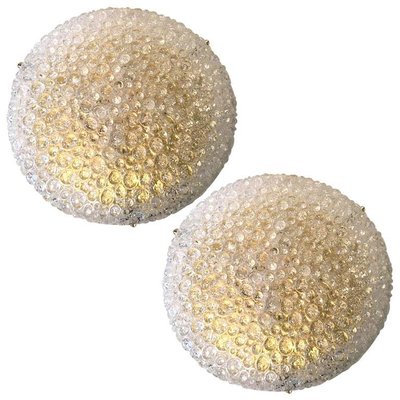 Large Thick Massive Bubble Glass Flush Mount Or Wall Lights By Hillebrand 1969 Set Of 2 For Sale At Pamono